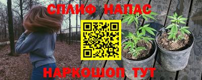 PSILOCYBIN Обь
