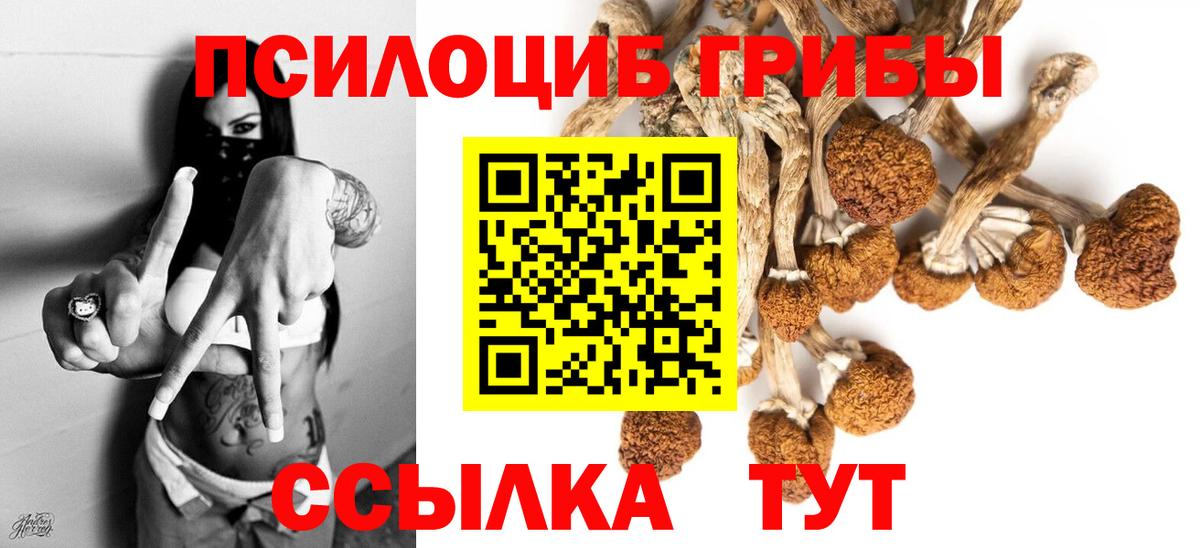 Галлюциногенные грибы Cubensis  Вход с VPN  Советская Гавань 