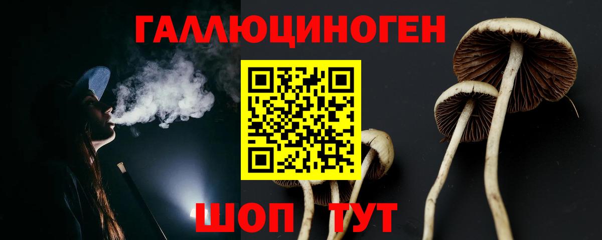 Галлюциногенные грибы мицелий Советская Гавань